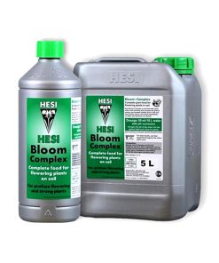 Bloom Complex Hesi