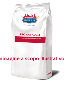 PRO CAT Adult 20kg